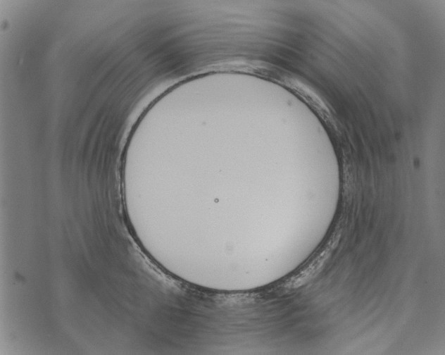 X0000073760808200608241410