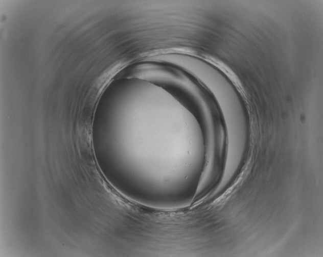 X0000073760809200608241410