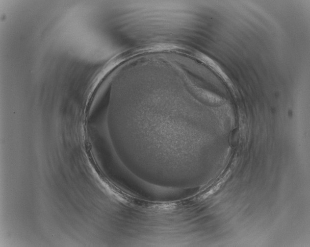 X0000073760810200608241410