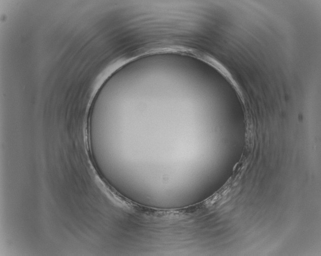 X0000073760811200608241410