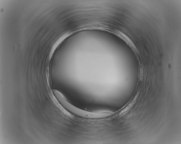 X0000073760812200608241410