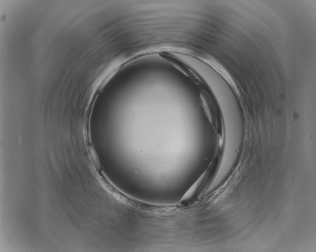 X0000073760813200608241410