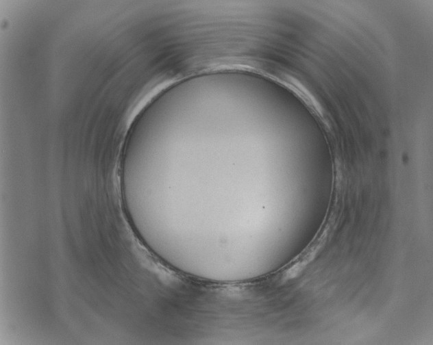 X0000073760814200608241410