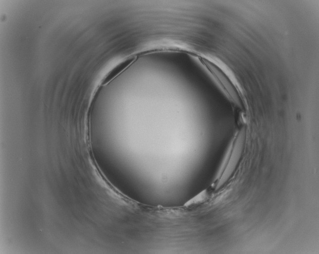 X0000073760815200608241410