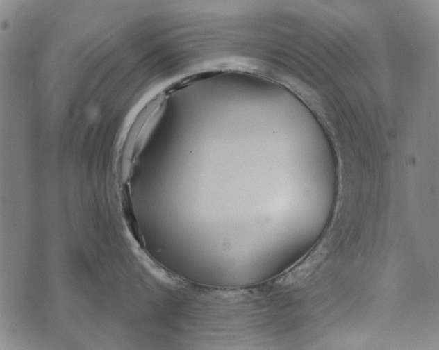 X0000073760816200608241410