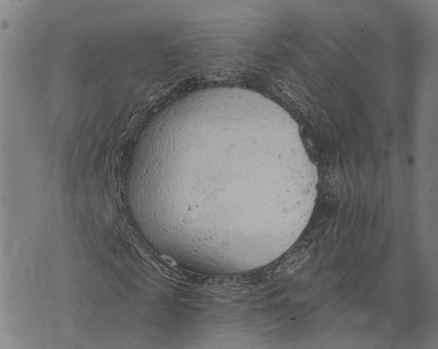 X0000073760817200608241409