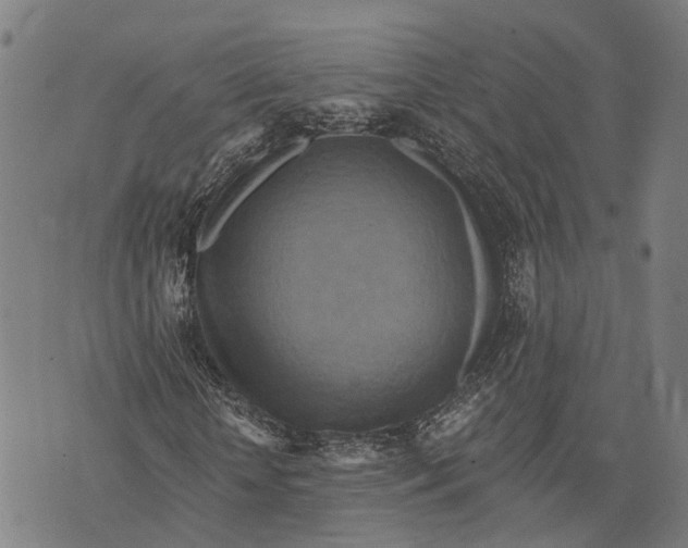 X0000073760818200608241409