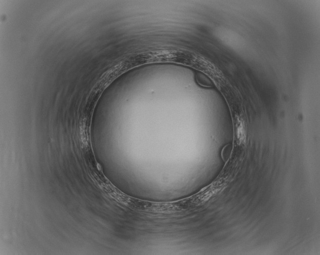 X0000073760819200608241409