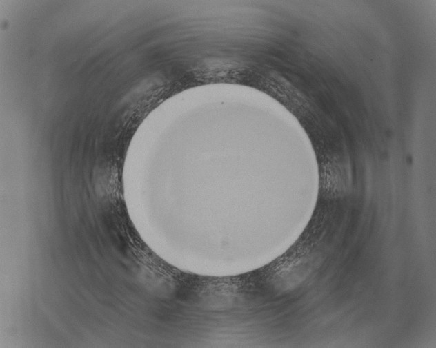 X0000073760820200608241409