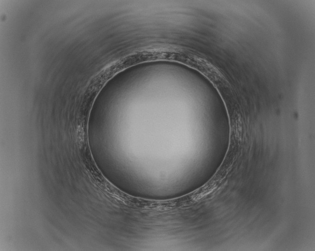 X0000073760821200608241409