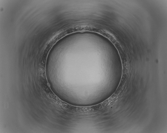 X0000073760823200608241409