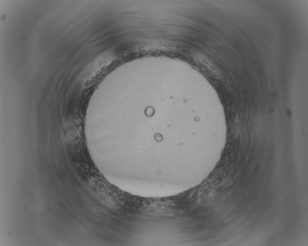 X0000073760824200608241409