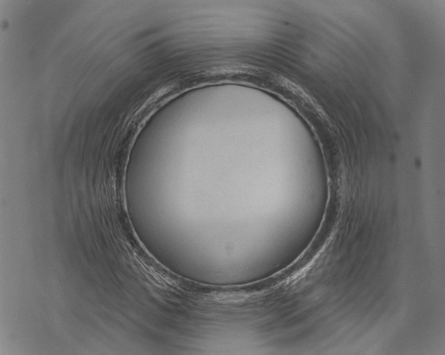 X0000073760825200608241410