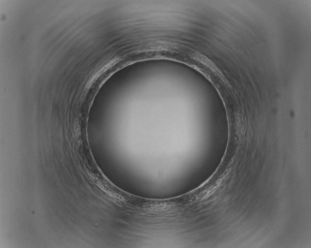 X0000073760826200608241410