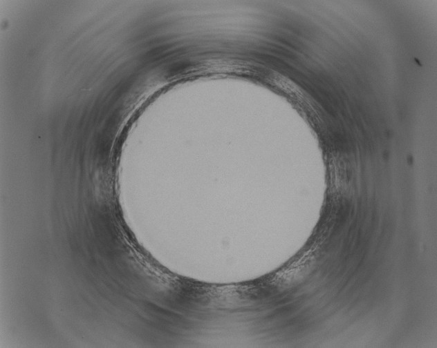 X0000073760828200608241410