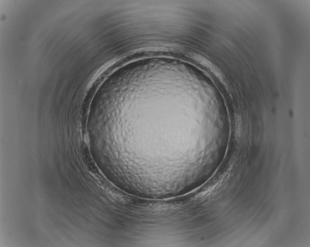 X0000073760829200608241410