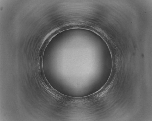 X0000073760830200608241410