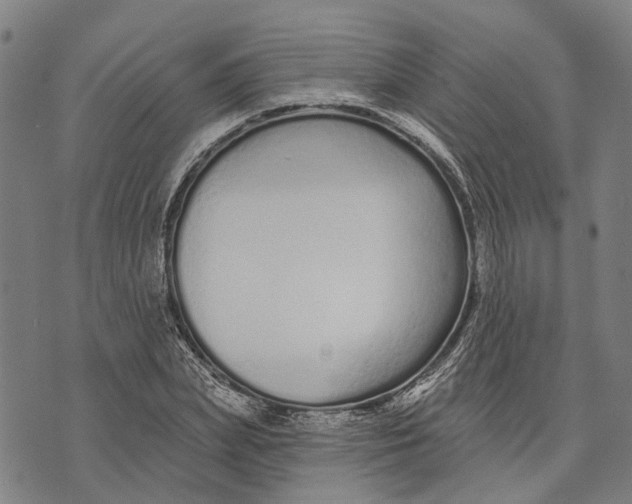 X0000073760831200608241410