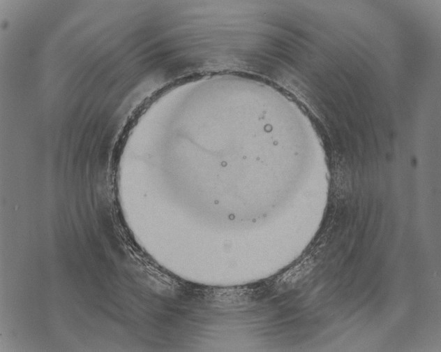 X0000073760832200608241410