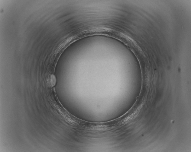 X0000073760833200608241410