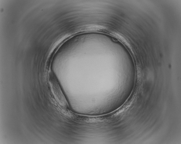 X0000073760835200608241410