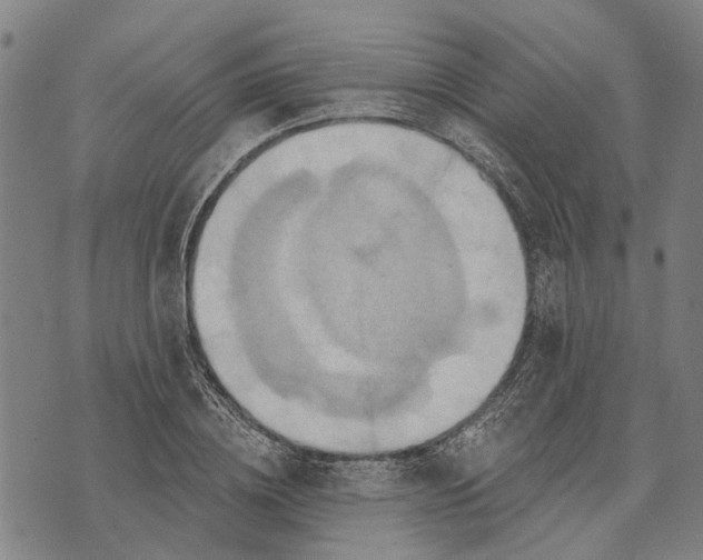 X0000073760836200608241410