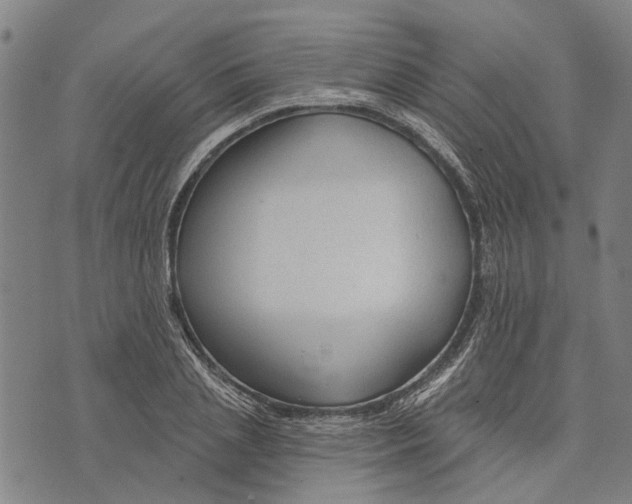 X0000073760837200608241410