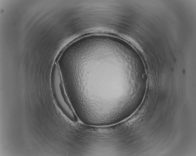 X0000073760839200608241410