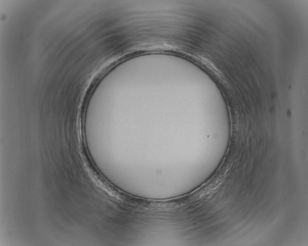 X0000073760840200608241410