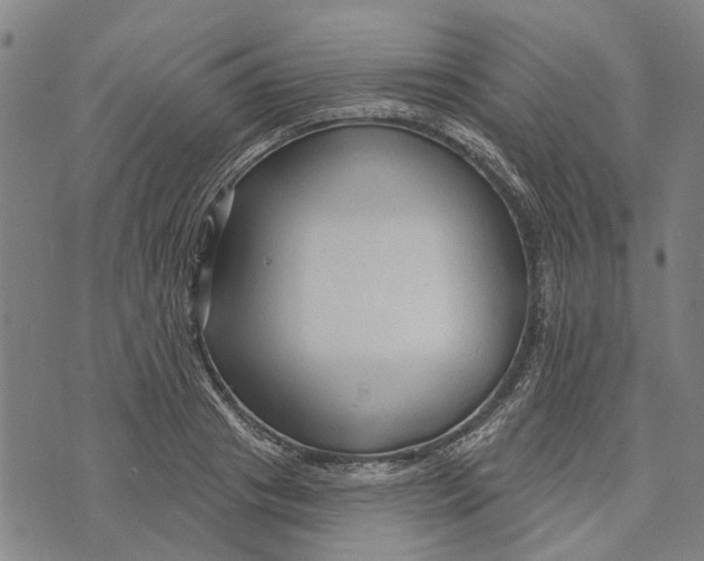 X0000073760841200608241410