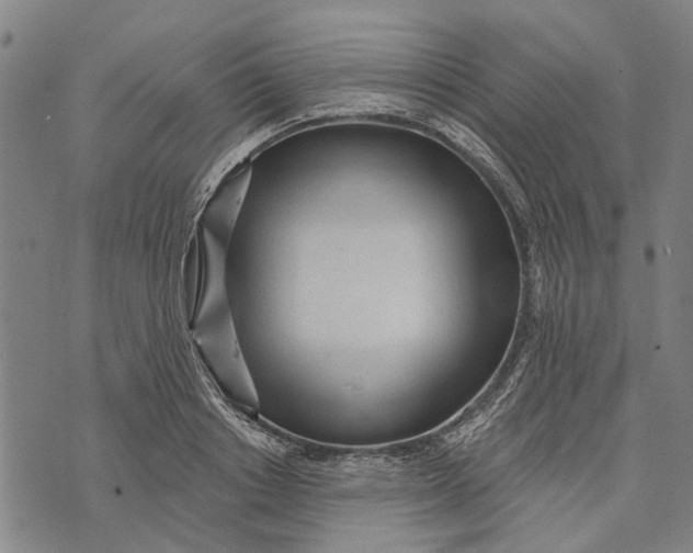 X0000073760842200608241410