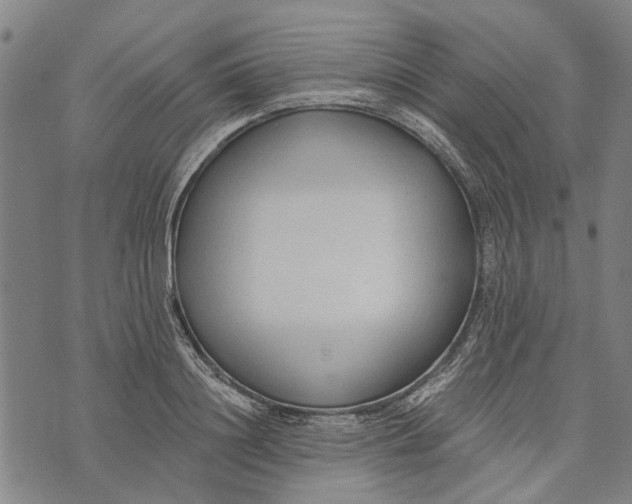 X0000073760844200608241410