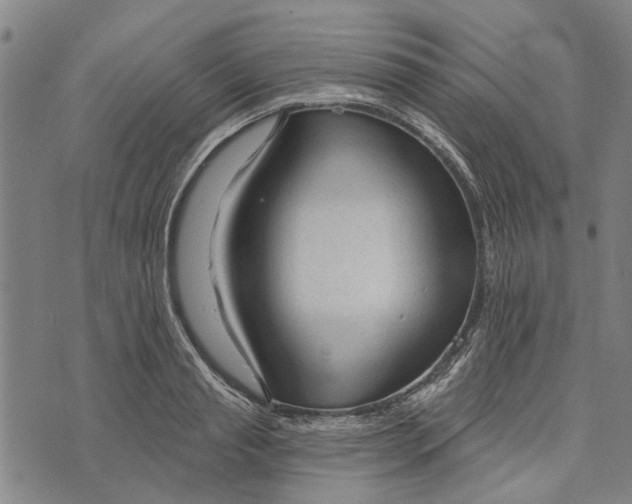 X0000073760845200608241410