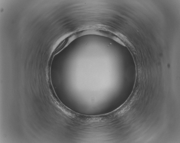 X0000073760846200608241410