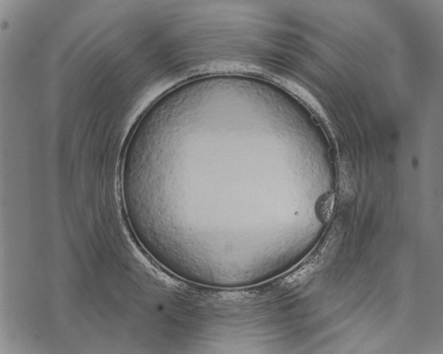 X0000073760847200608241410