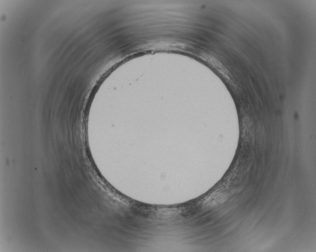 X0000073760848200608241410