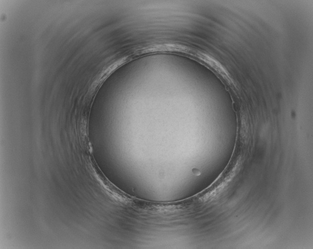 X0000073760849200608241410