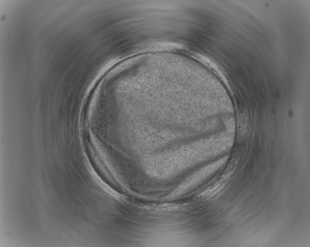 X0000073760851200608241410