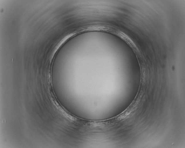 X0000073760852200608241410