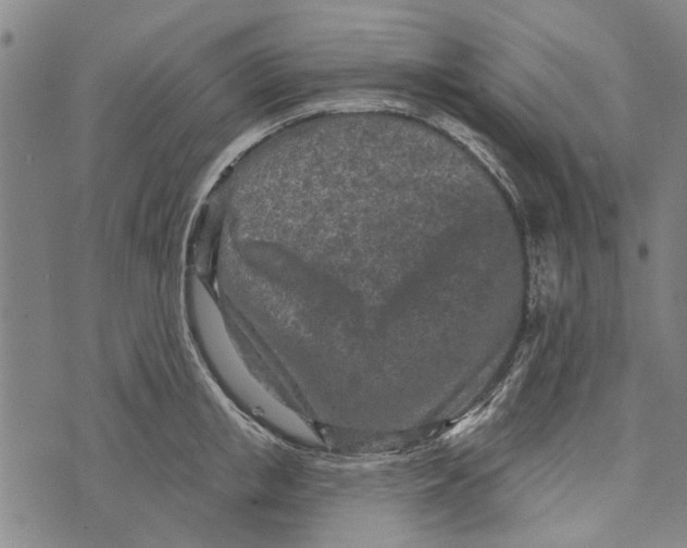 X0000073760853200608241410