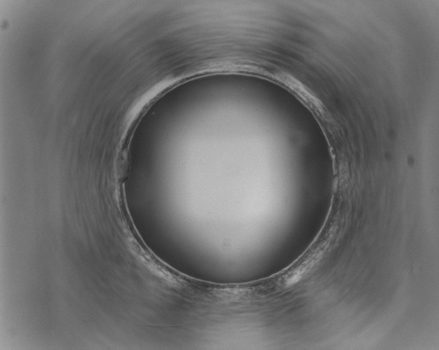 X0000073760854200608241410