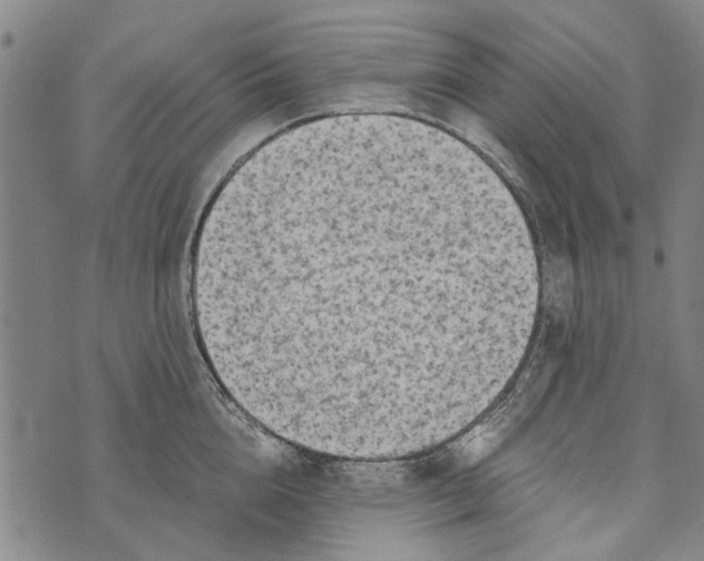 X0000073760856200608241410