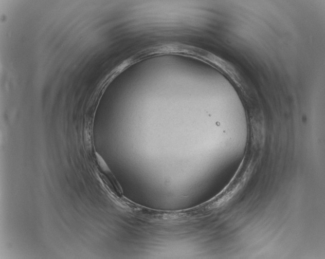 X0000073760857200608241410