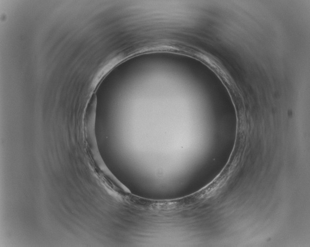 X0000073760858200608241410