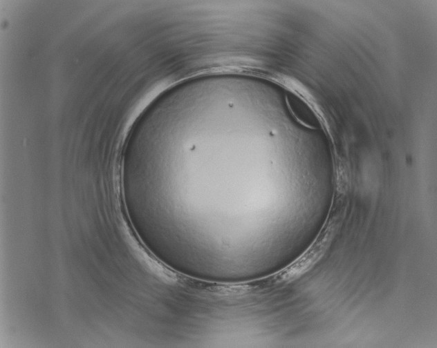 X0000073760859200608241410