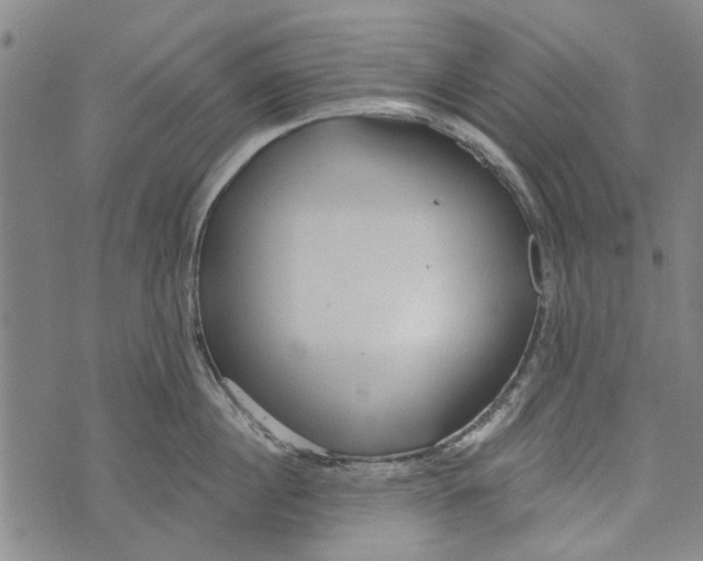 X0000073760860200608241410