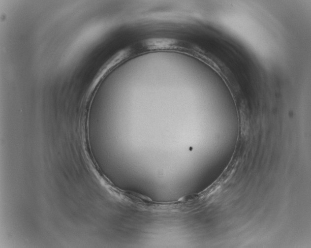 X0000073760861200608241410