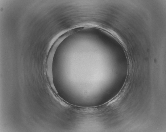 X0000073760862200608241410