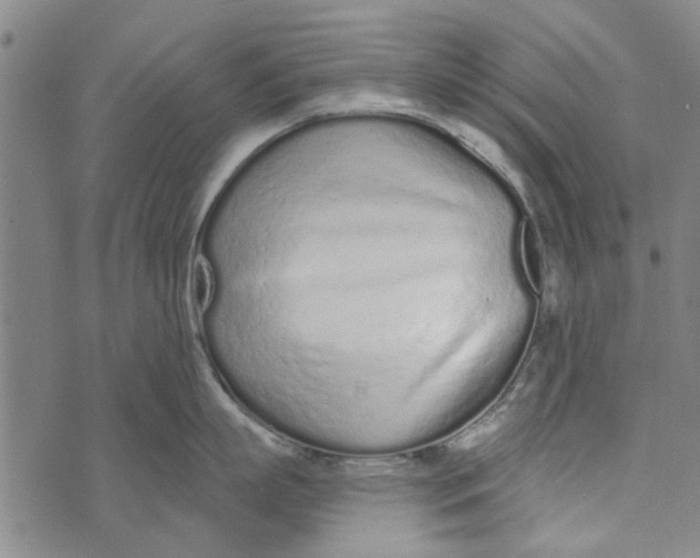 X0000073760863200608241410