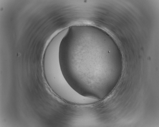 X0000073760864200608241410